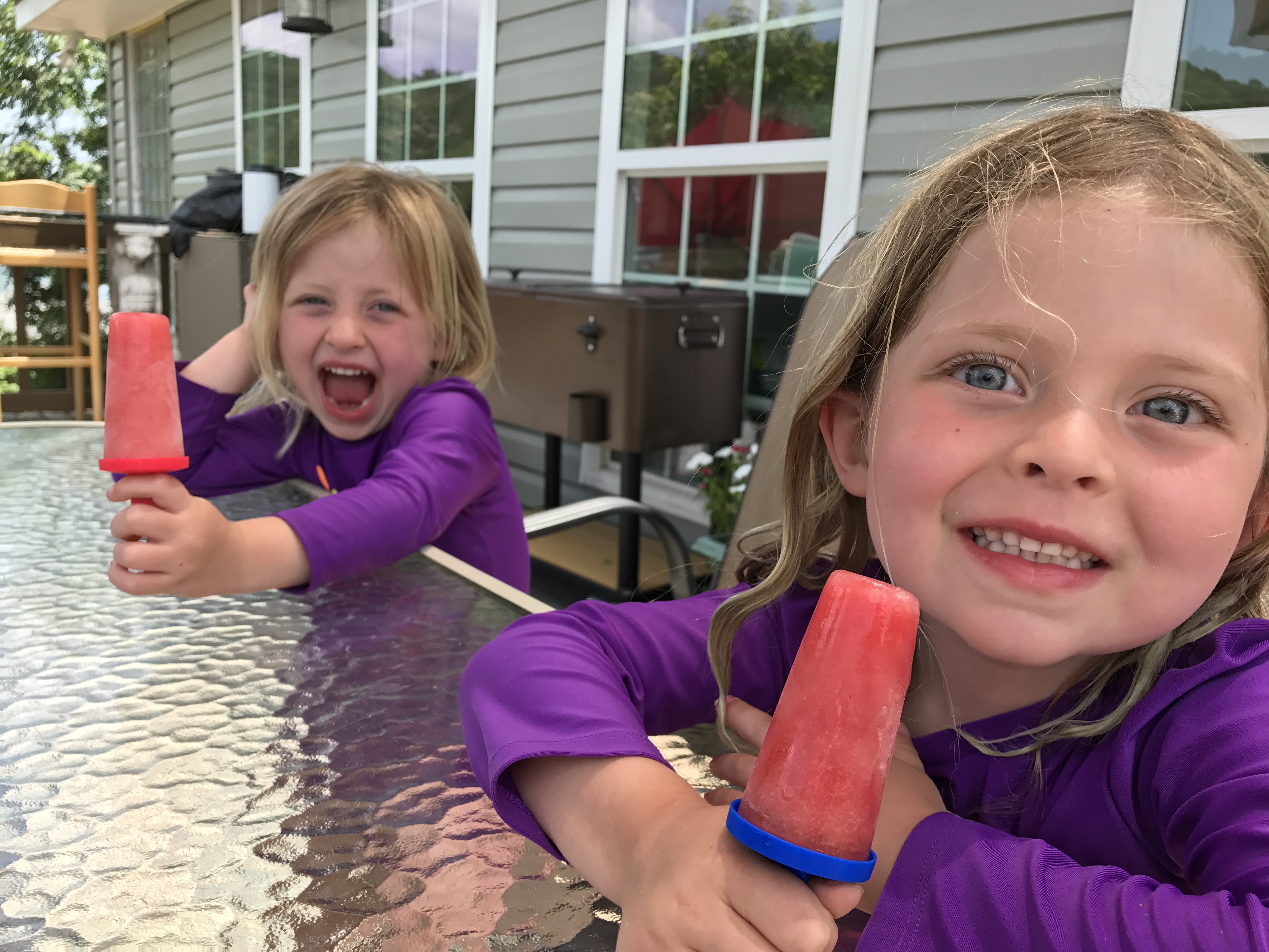 Kid Approved Popsicles